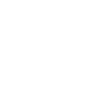 mandarin chinese courses munich BWS GERMANLINGUA