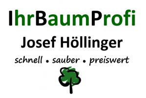 baume fallen munich Ihr Baumprofi Josef Höllinger Baumfällung München Baumpflege
