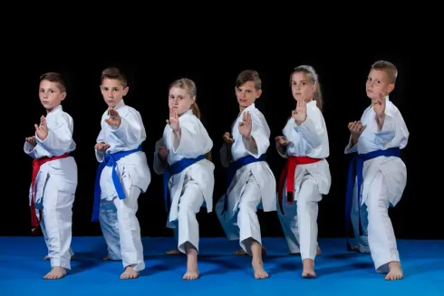 taekwondo classes in munich Self Defense Germany -Taekwondo