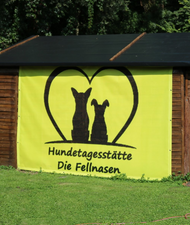 hundesitter munich Hundetagesstätte Die Fellnasen