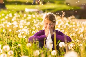 Kinesiologie München unterstützt Sie bei Allergien