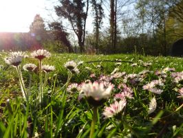 parkt kinder munich Weißenseepark