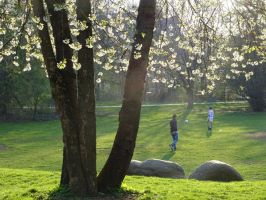 parkt kinder munich Weißenseepark