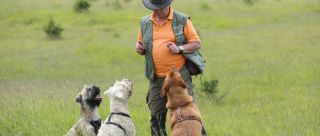 hundetrainer munich Hundeschule in München - Besser leben mit Hund