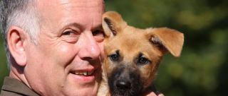 hundetrainer munich Hundeschule in München - Besser leben mit Hund