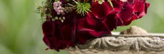 online kurse fur floristen munich Blumen Rosige Zeiten