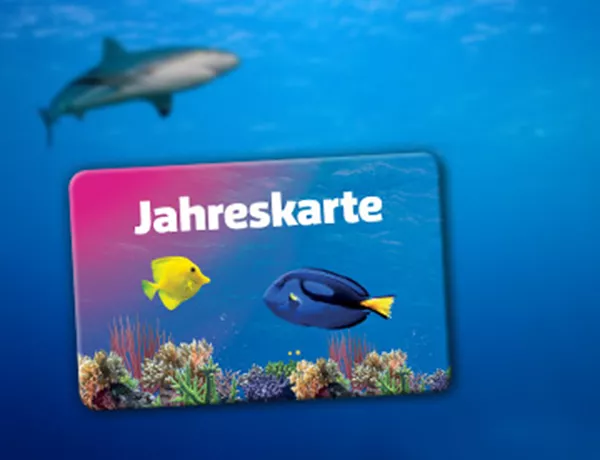 SL Jahreskarte 360X276