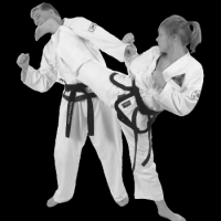 hapkido klassen munich Self Defense Germany