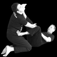 hapkido klassen munich Self Defense Germany