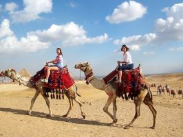 arabische teekannen munich AladinSchule: Arabisch für Erwachsene